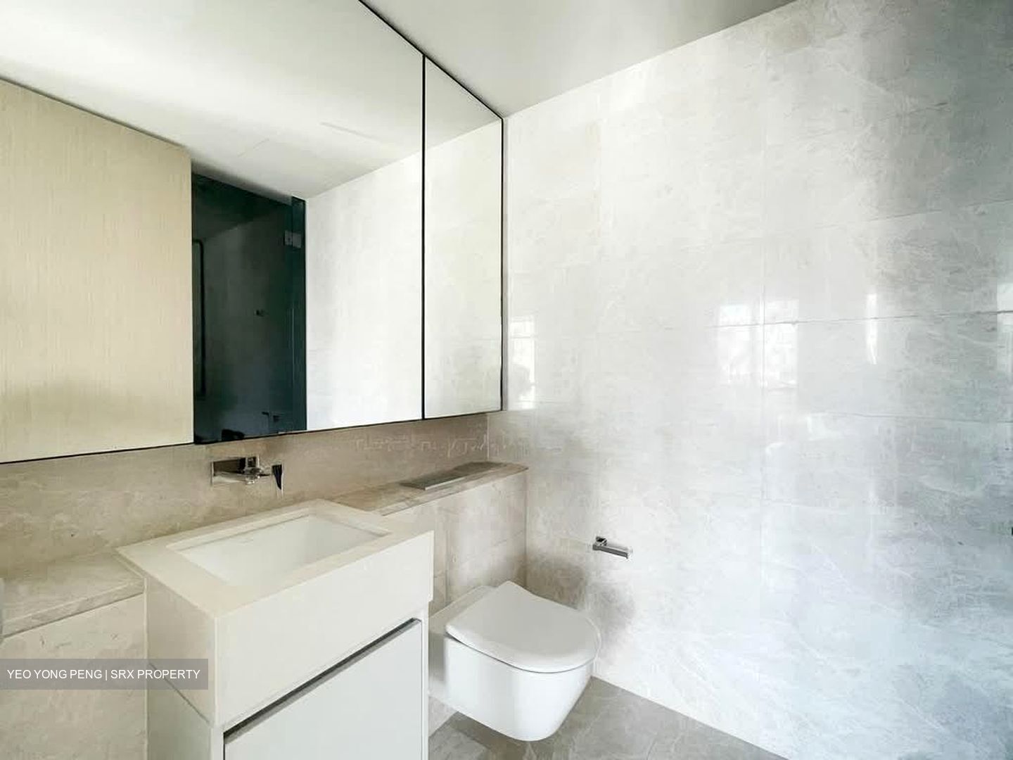 Amber Park (D15), Condominium #559536671